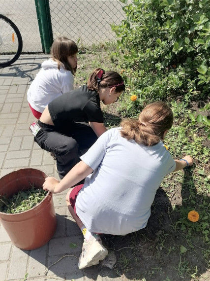 Озеленение пришкольной территории.